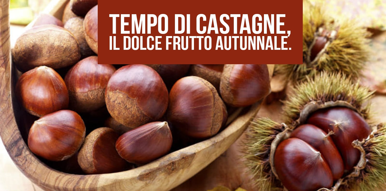 TEMPO DI CASTAGNE, IL DOLCE FRUTTO AUTUNNALE.